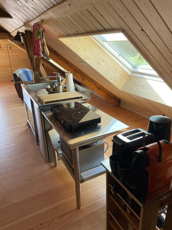 Mon Refuge En Vasgovie Apartment Meisenthal Ngoại thất bức ảnh